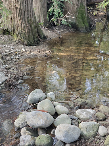 Clínica Canoas