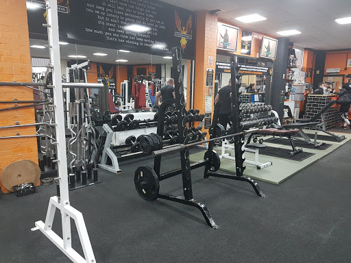 Phoenix Fitness Skegness - Thumbnail