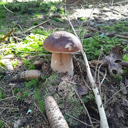 Photo n°5 de laurent paulet 3 G immo à Le Malzieu-Ville (Consultant immobilier)