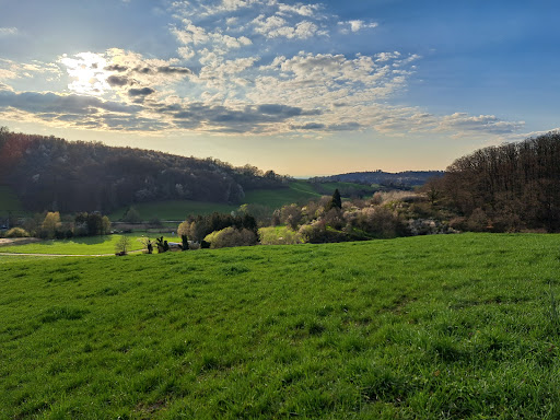 waschenbach - Visual
