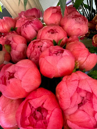 Photo n°46 de Saisons fleuris à Issy-les-Moulineaux (Livraison de fleurs)