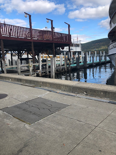 Town of Lake George
