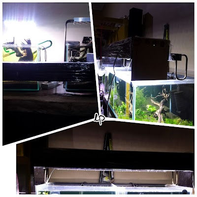 Photos of Toko Tanaman Aquascape/Hidroponic