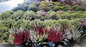 Photo n°1 de L'atelier à Venansault (Fleuriste)