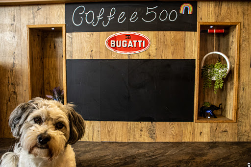 Coffee500 - Visual
