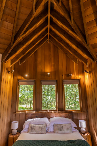 Panford Beck Treehouse