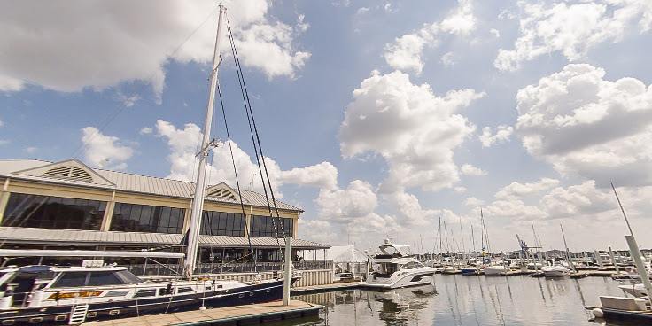 Lighthouse Point Marina by null