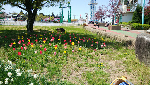 Ikoma Sanjyo Amusement Park Ikoma Destimap Destinations On Map