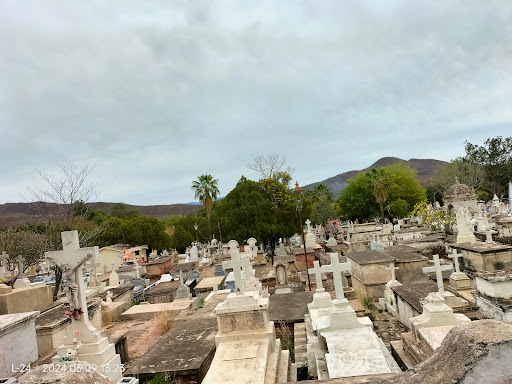 Alamos sonora - Visual