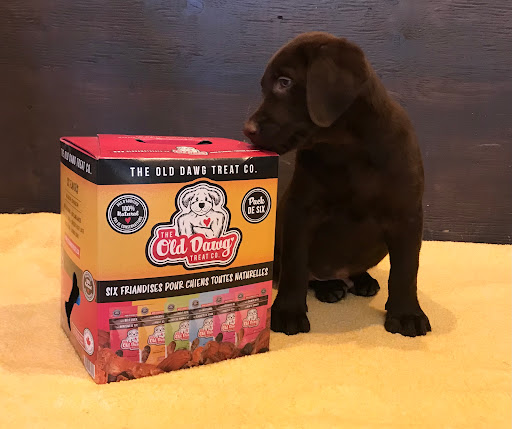 PuppyTrainedRight.com - Visual