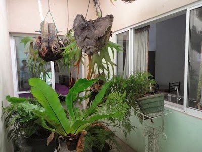 Photos of Peace of Mind Residencies