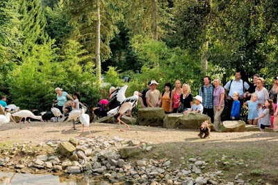 Photos of Vogelpark Heiligenkirchen - der Familienpark in NRW