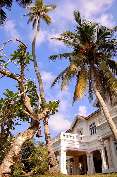 Photos of Villa de Zoysa