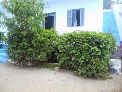 Photos of auberge hjar nnhal