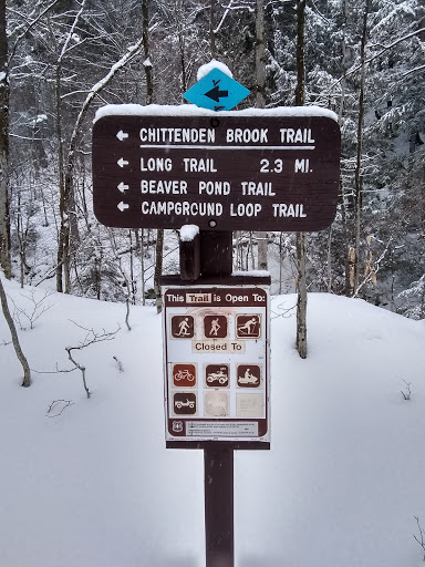 Chittenden Brook Campground - Thumbnail