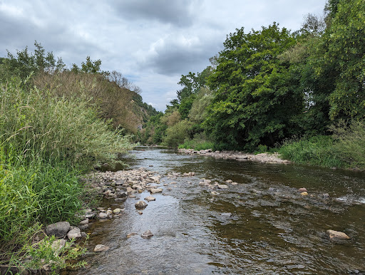 Wohnmobilplatz Fischbach - Thumbnail