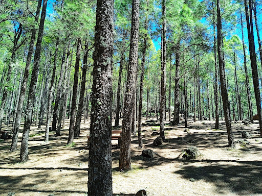 Llanos de La Pez