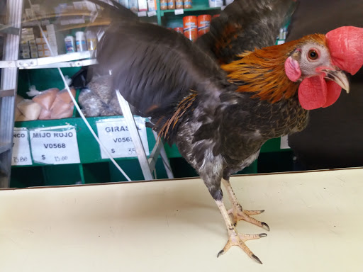 Farmacia Veterinaria Trebol
