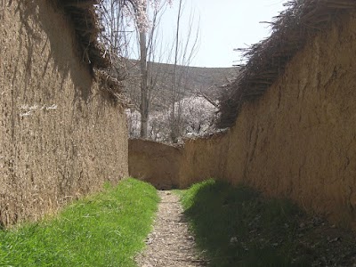 Photos of باغ های علی آباد کمین