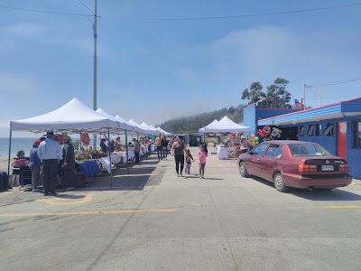 Photos of Playa de Llico
