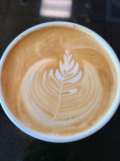 Bella Latte - Duncan - Thumbnail