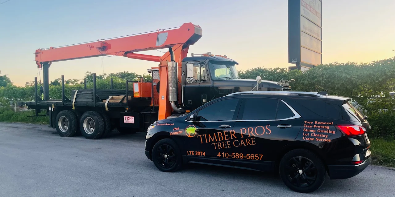 Timber Pros Tree Care LLC