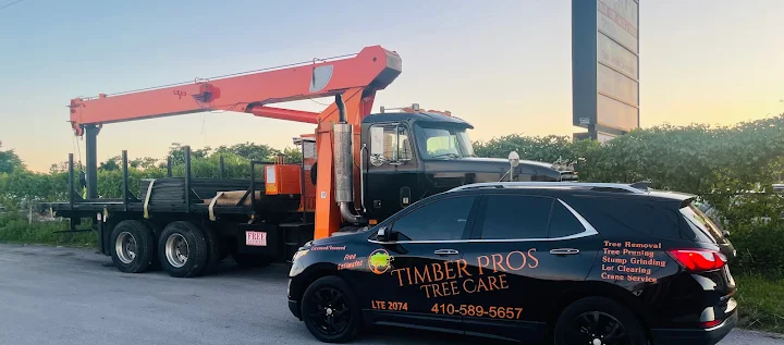 Timber Pros Tree Care LLC