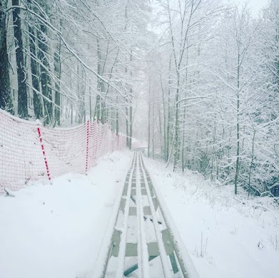 Bardonecchia Alpine Coaster