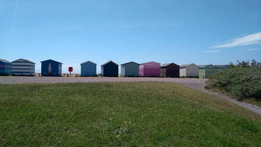 Beachlands - Visual