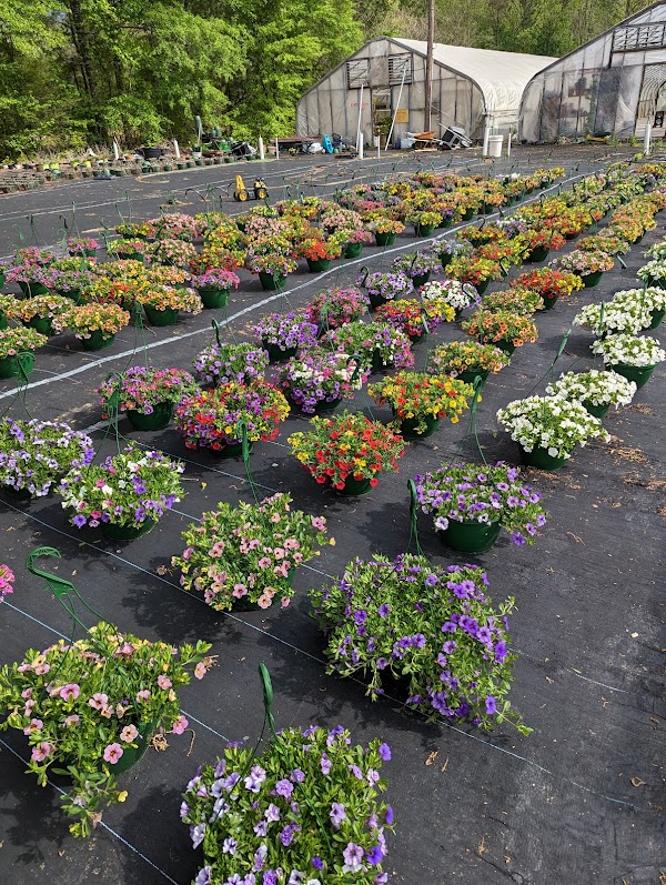 J & J Junk Sale photo 1