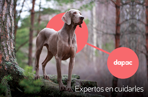 ALPETS - Visual