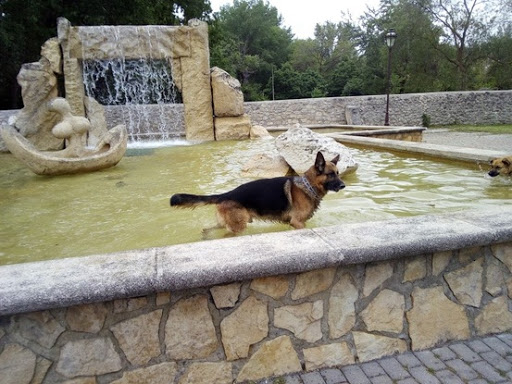 Hotel para perros Alojamiento para perros y guardería canina