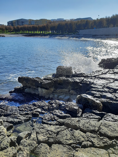 Prima Cala - Visual