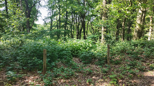 Den Engel op de Kemmelberg - Thumbnail