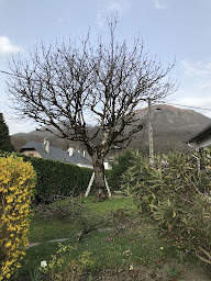 Photo n°6 de JC PAYSAGES à Ouzous (Paysagiste)