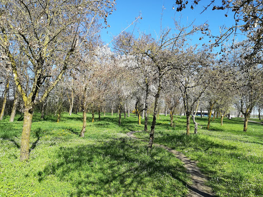Viadana BIKE PARK