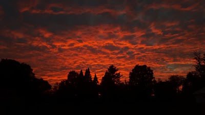 Photos of Thurston Park