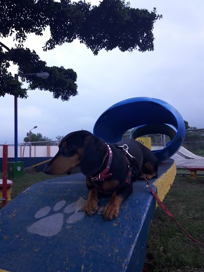 park