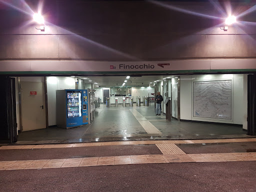 Finocchio - Visual