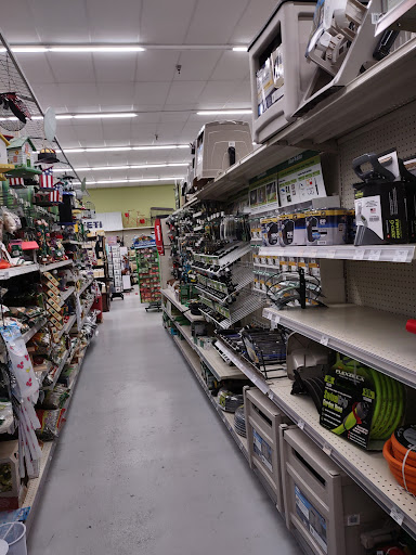 Thompson Ace Hardware - Visual