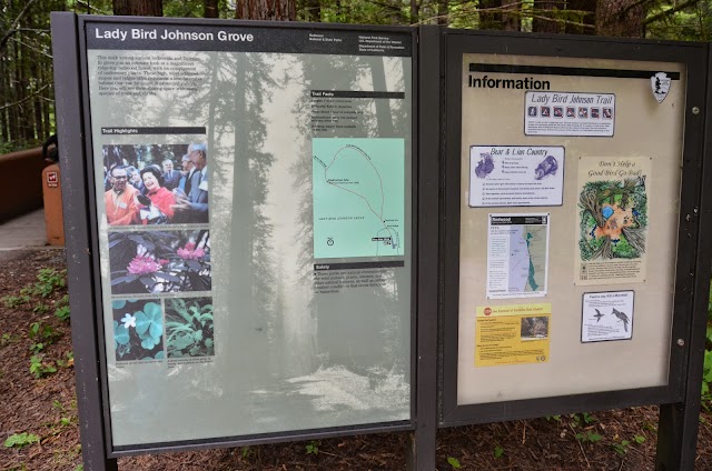 Lady Bird Johnson Grove Trail