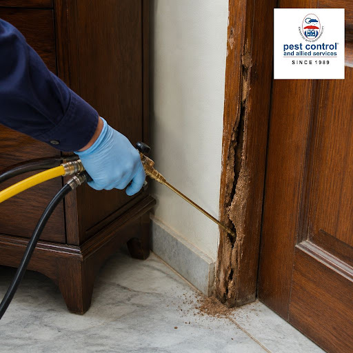 Termites can silently damage your wooden furniture, door frames and cabinets before you even noti… post image
