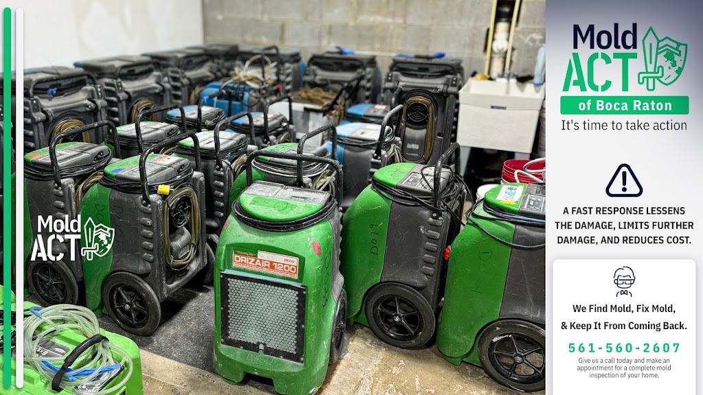 Mold Act of Boca Raton photo