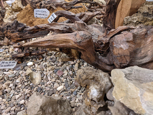 Wurzelmuseum - Visual