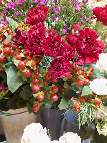 Comments and reviews of The Flower Shoppe