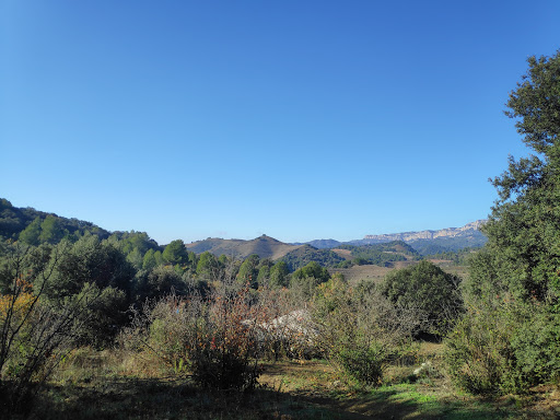 La Mandorla - Thumbnail
