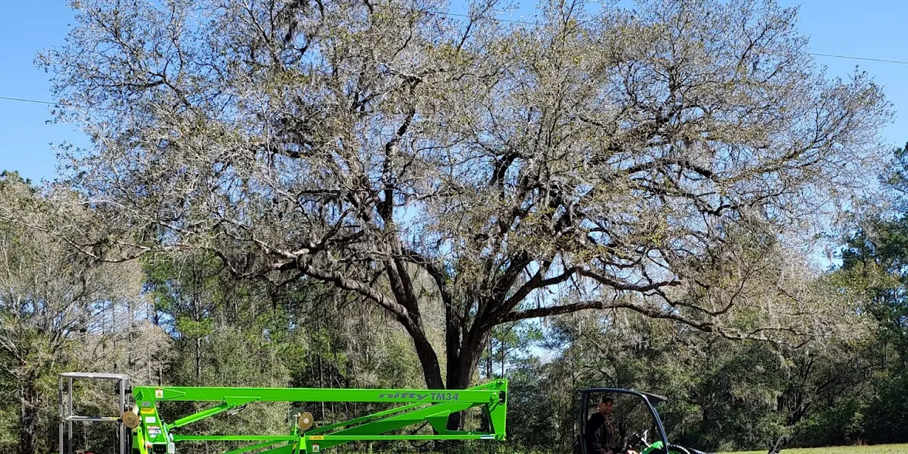 PLC Tree Service