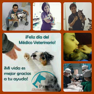 Clínica Veterinaria Prado 1