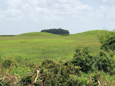 Balmoral Ancient Native American Mounds