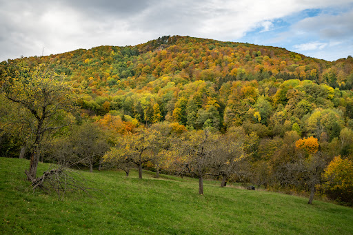 Zipfelbachtal - Thumbnail